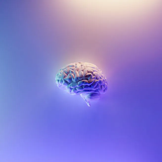 Structure your research with a second brain