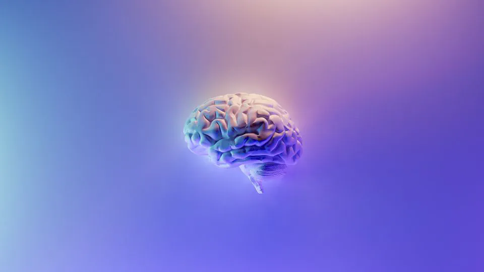 Structure your research with a second brain